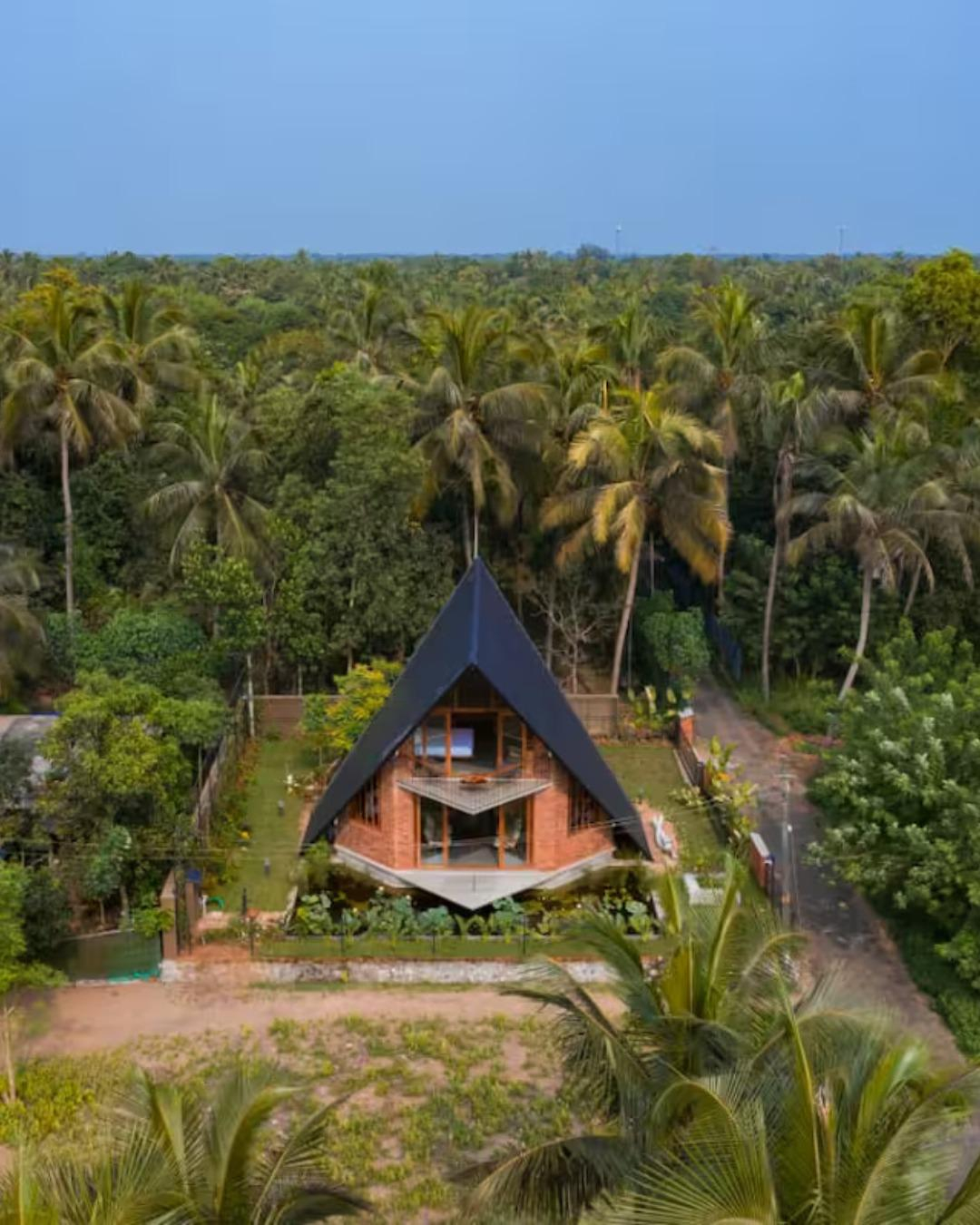 Bimal's Casa De Papel x Solis Nature