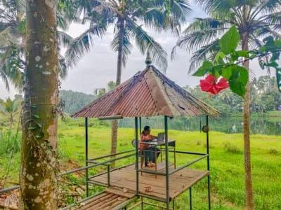 Pranayakulam Homestay x Solis Nature Pranayakulam Homestay x Solis Nature