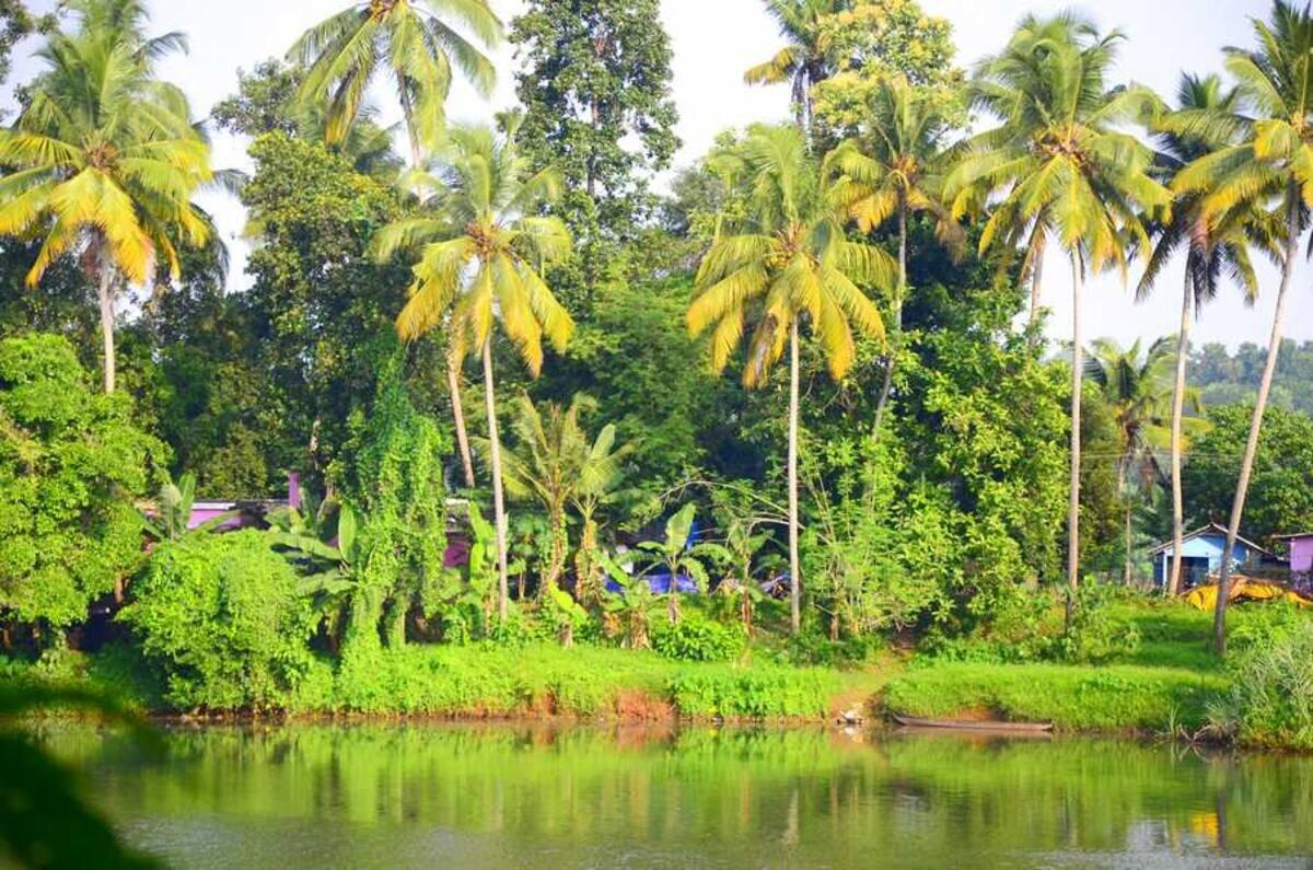 Pranayakulam Homestay x Solis Nature Pranayakulam Homestay x Solis Nature