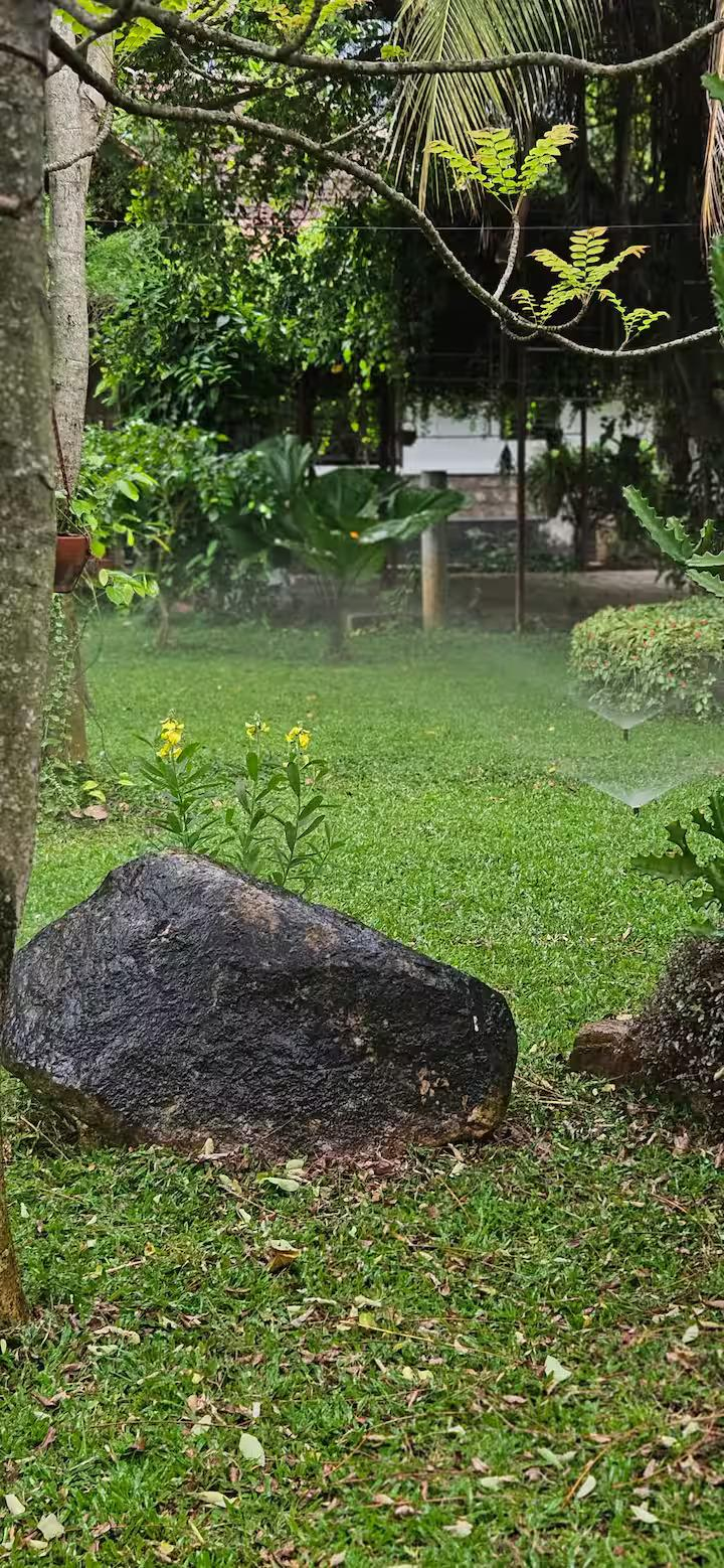 Pannadikadu Ranch House x Solis Nature