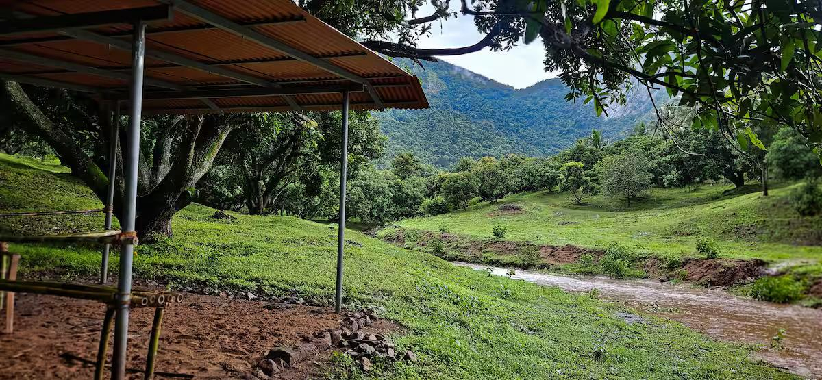 Pannadikadu Ranch House x Solis Nature