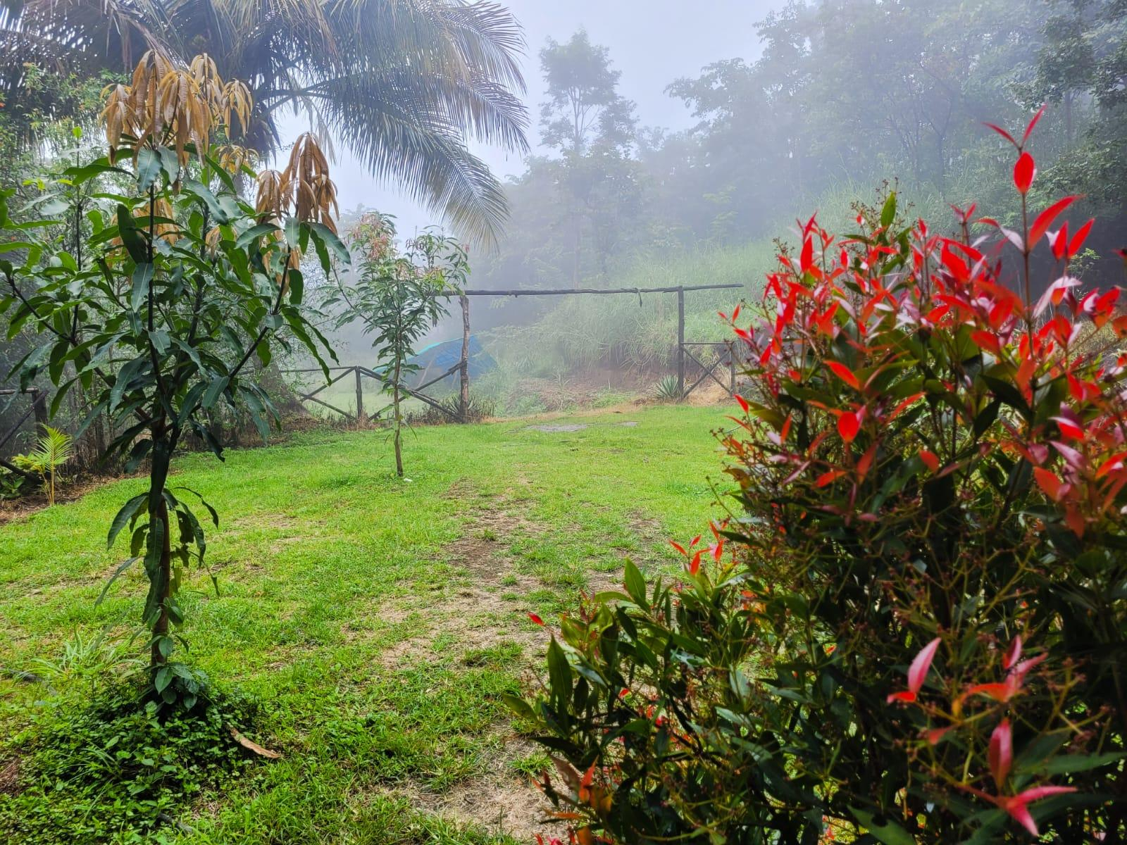 4bhk villa Chembani Holidays and resorts x Solis Nature 4bhk villa Chembani Holidays and resorts x Solis Nature