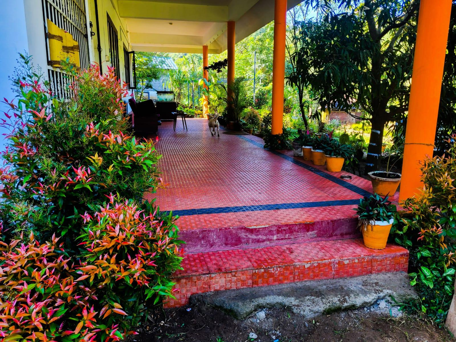 4bhk villa Chembani Holidays and resorts x Solis Nature 4bhk villa Chembani Holidays and resorts x Solis Nature
