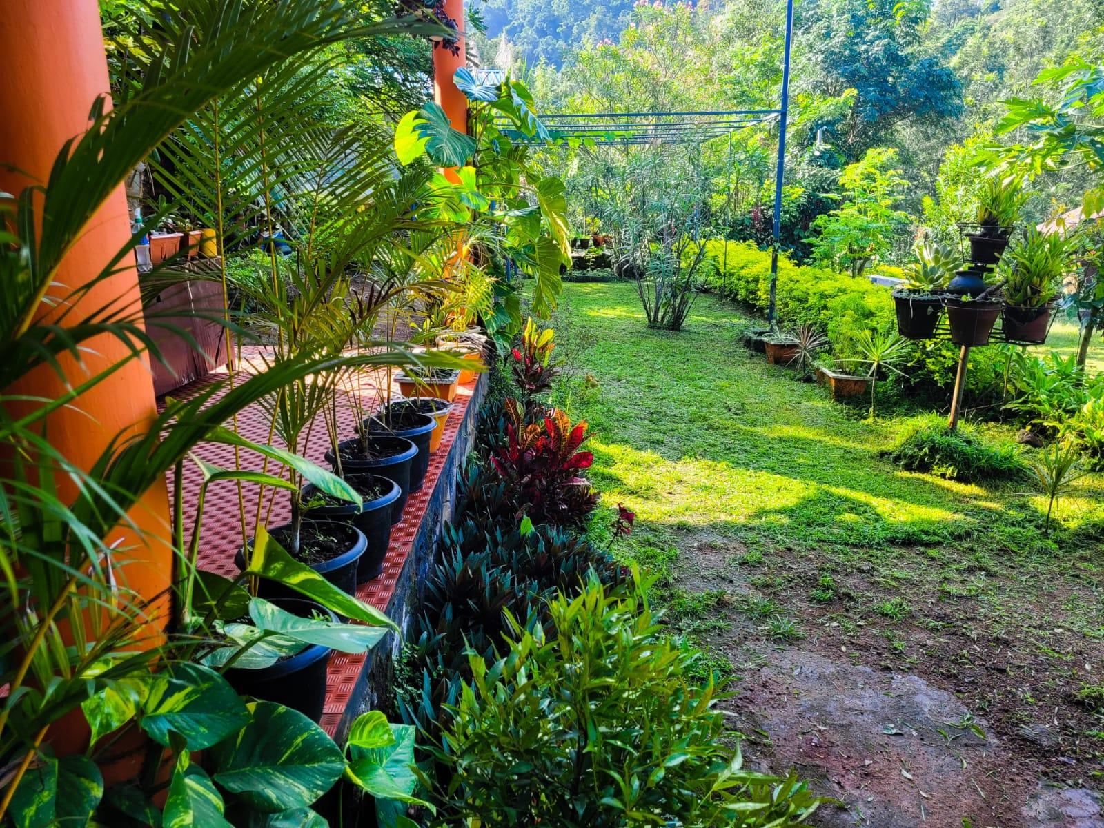 4bhk villa Chembani Holidays and resorts x Solis Nature 4bhk villa Chembani Holidays and resorts x Solis Nature