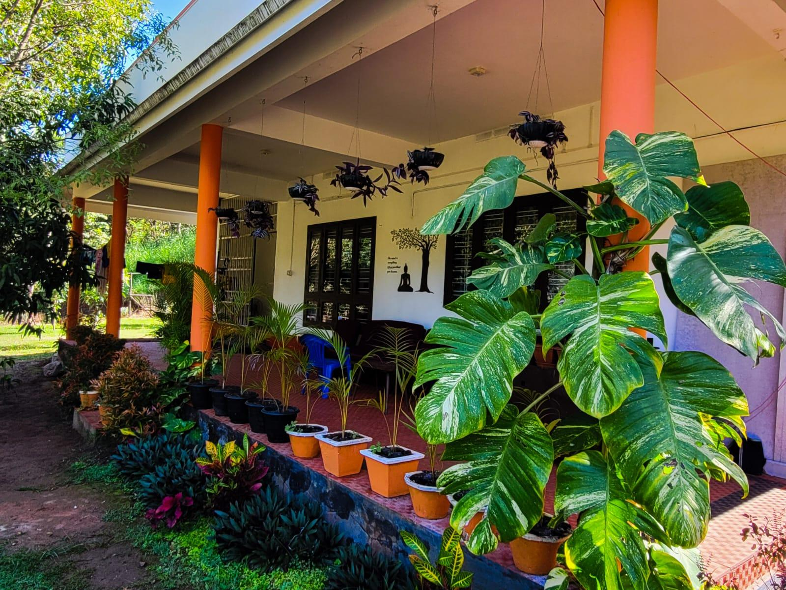 4bhk villa Chembani Holidays and resorts x Solis Nature
