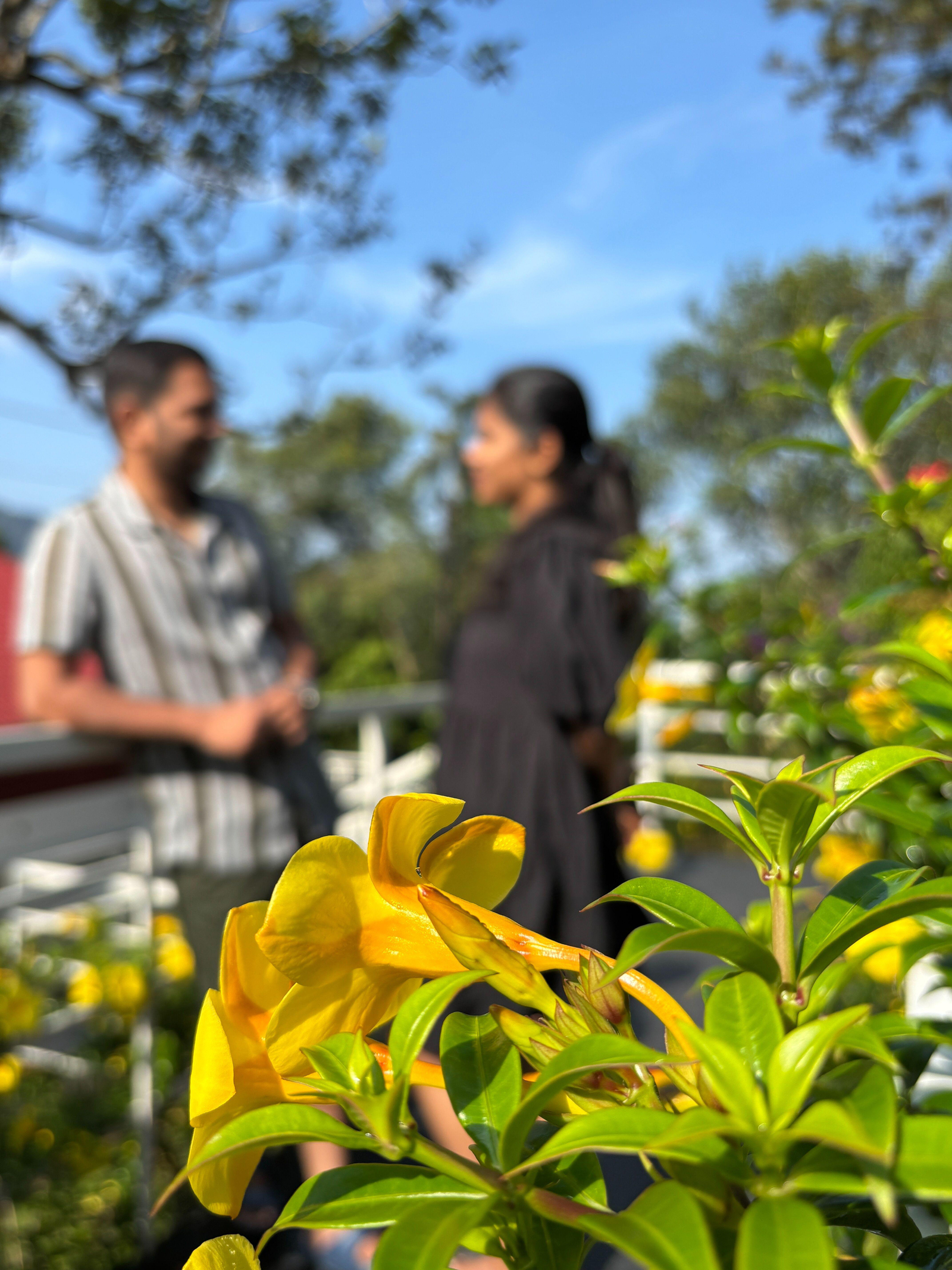 Farmvilla by Lovely nature glamping x Solis Nature Farmvilla by Lovely nature glamping x Solis Nature