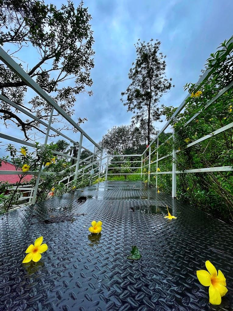 Domestay with mountain view Gateway of M x Solis Nature