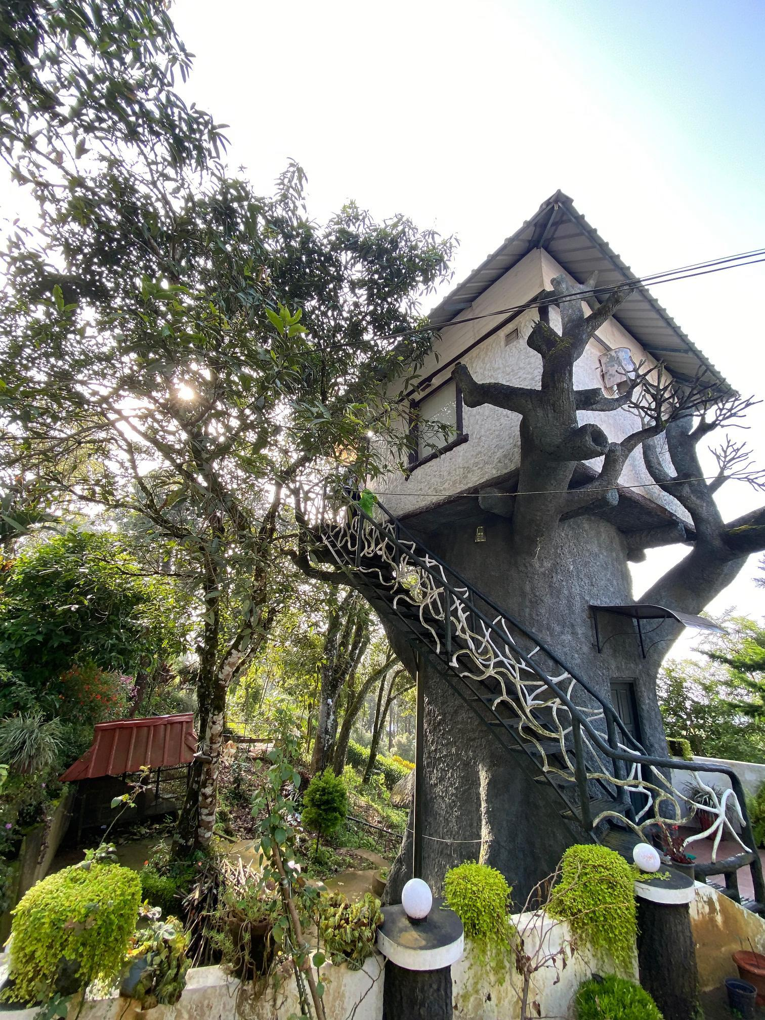 Estate Residency Tree House & Cave Room x Solis Nature Estate Residency Tree House & Cave Room x Solis Nature