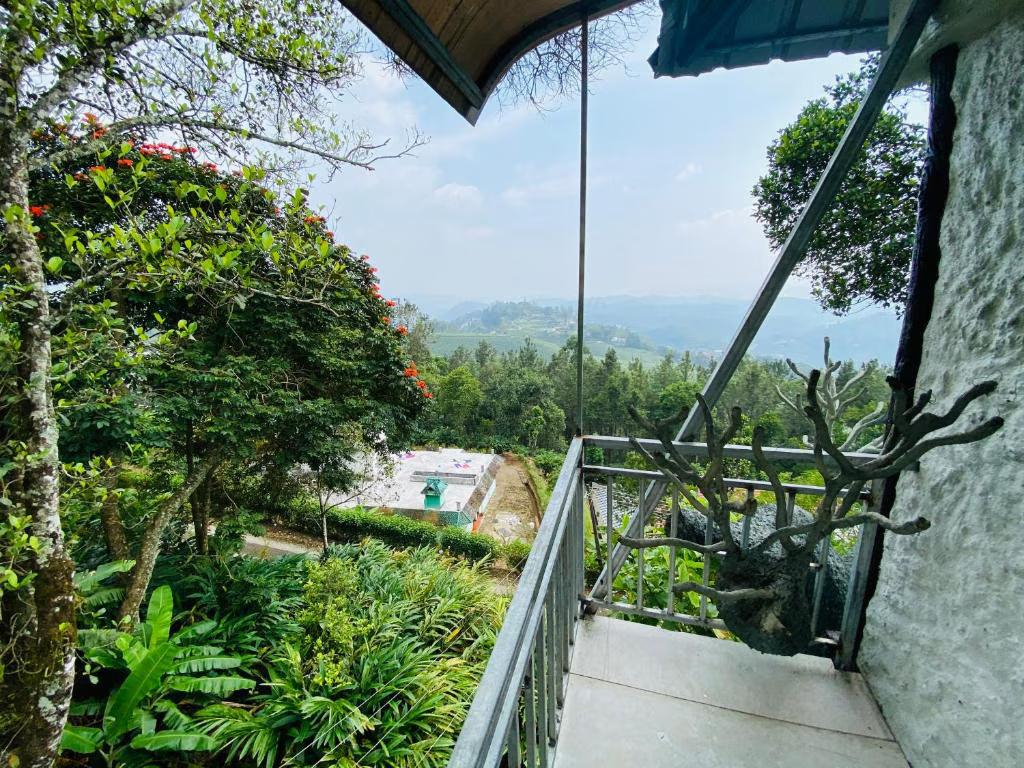 Estate Residency Tree House & Cave Room x Solis Nature Estate Residency Tree House & Cave Room x Solis Nature