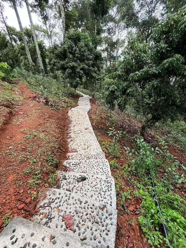 Swastham Estate Bunglow x Solis Nature Swastham Estate Bunglow x Solis Nature
