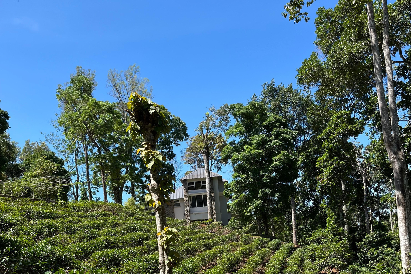 Swastham Estate Bunglow x Solis Nature Swastham Estate Bunglow x Solis Nature