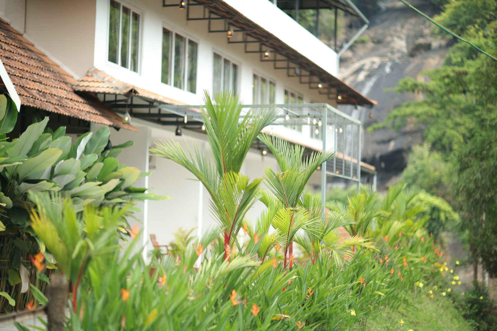 Nature Cascade Resort x Solis Nature