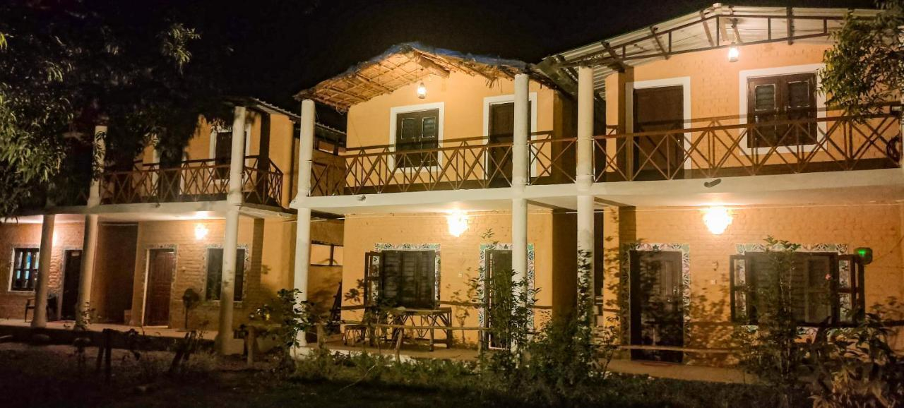 Nature Care Village x Solis Nature