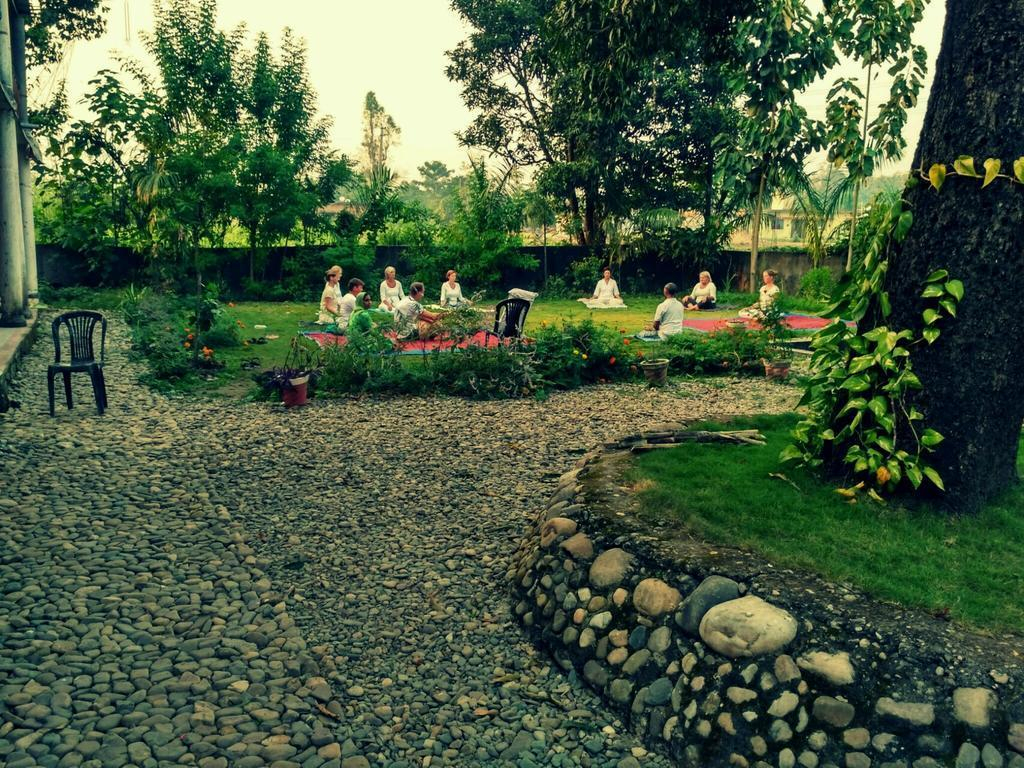 Nature Care Village x Solis Nature