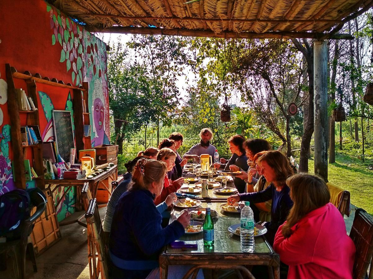 Nature Care Village x Solis Nature
