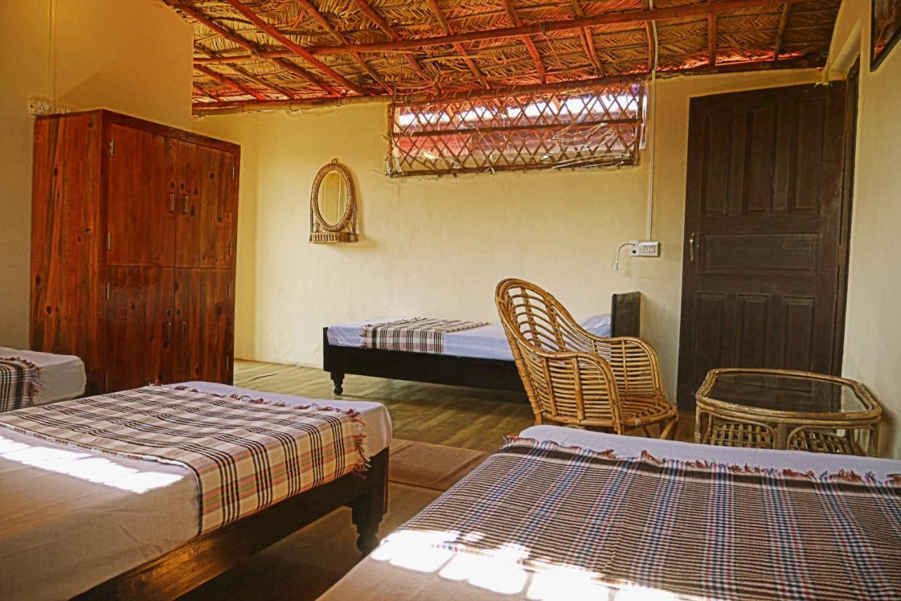 Nature Care Village x Solis Nature