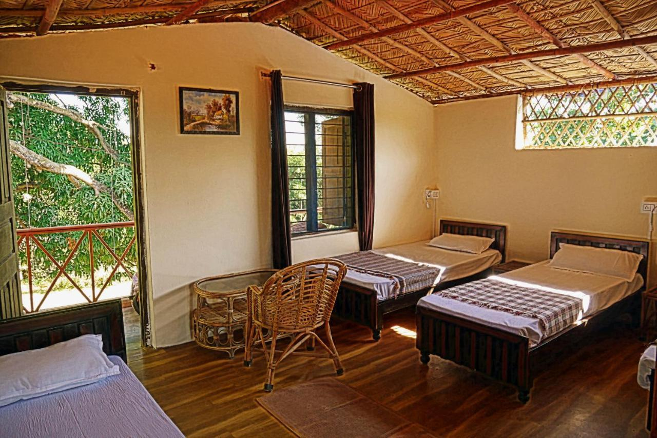 Nature Care Village x Solis Nature