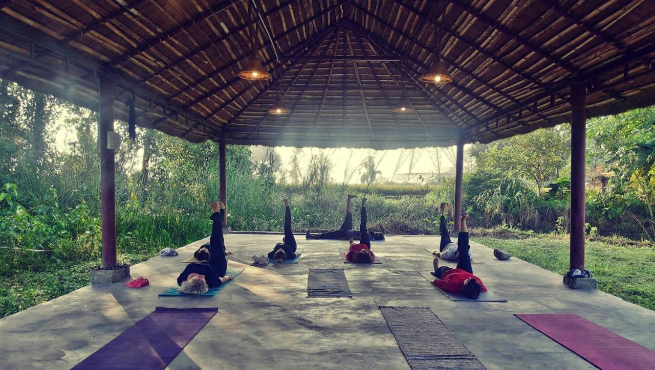 Nature Care Village x Solis Nature