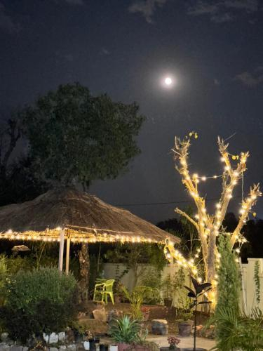 Rajaji Retreat Resort x Solis Nature