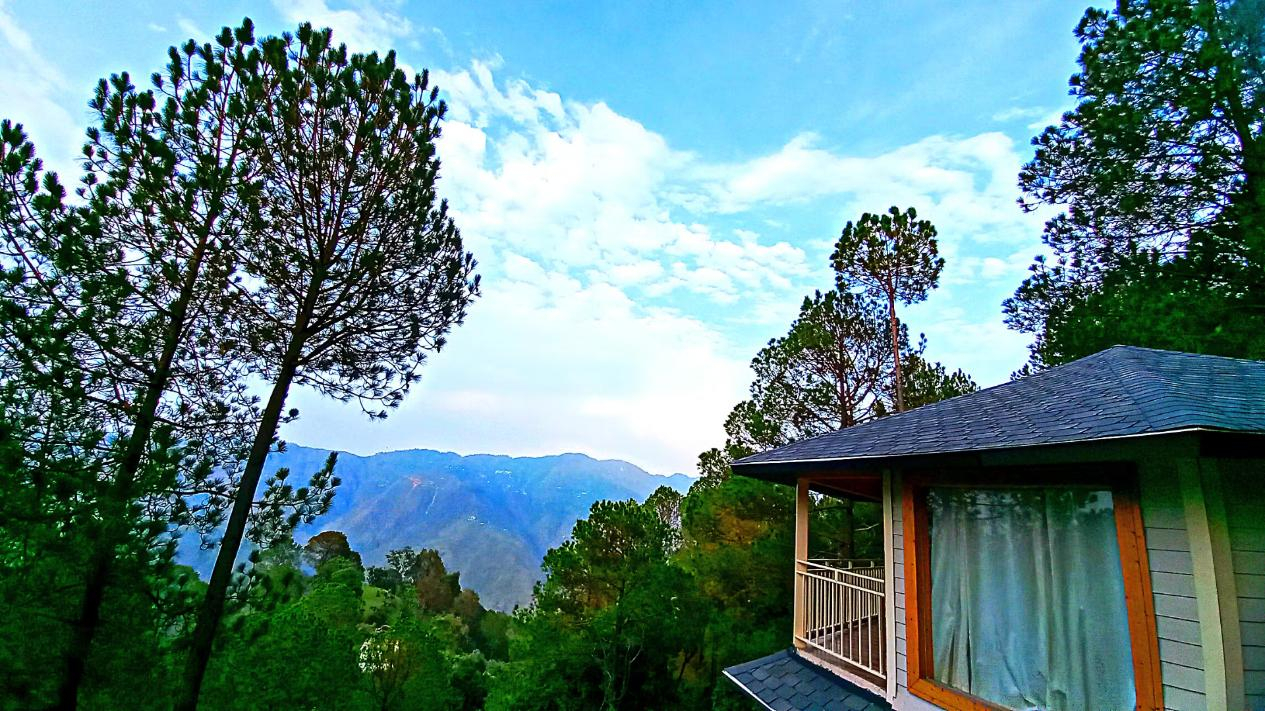 The Woods Retreat x Solis Nature