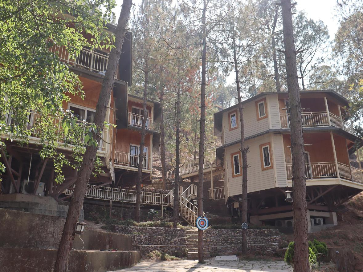 The Woods Retreat x Solis Nature