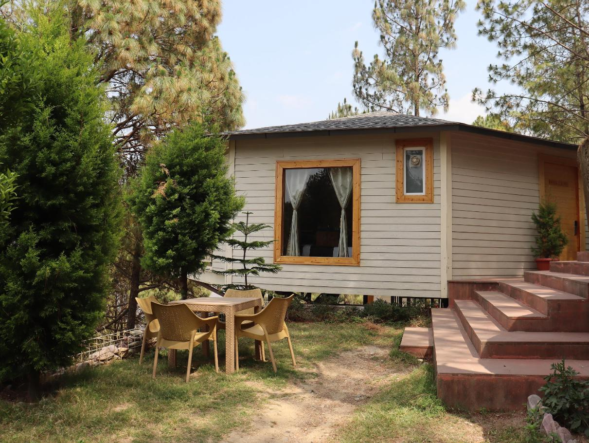 The Woods Retreat x Solis Nature