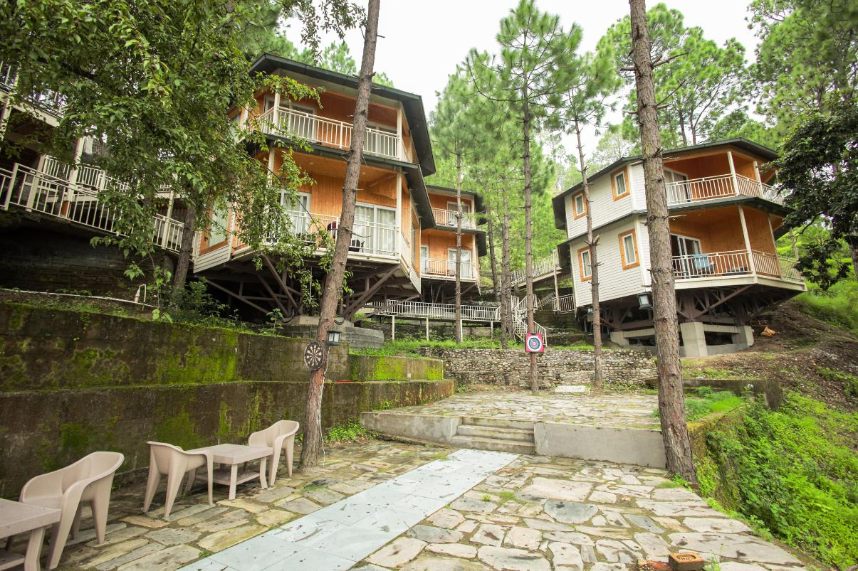 The Woods Retreat x Solis Nature