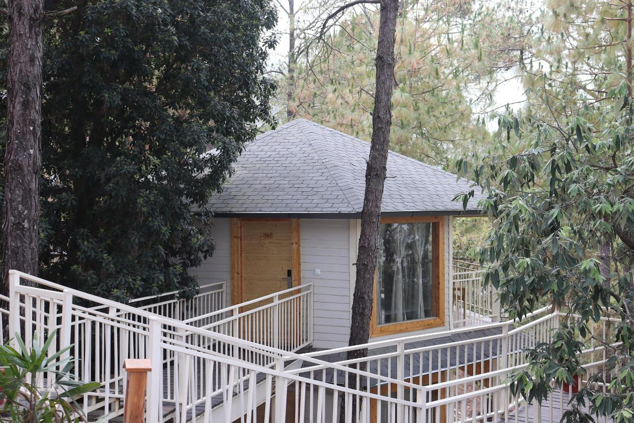 The Woods Retreat x Solis Nature