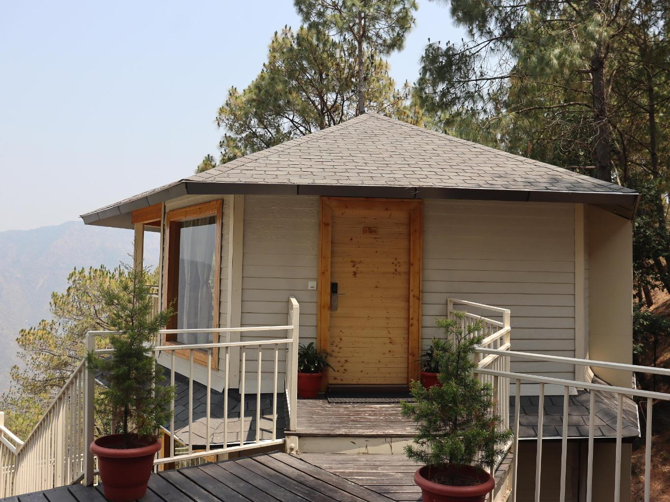 The Woods Retreat x Solis Nature