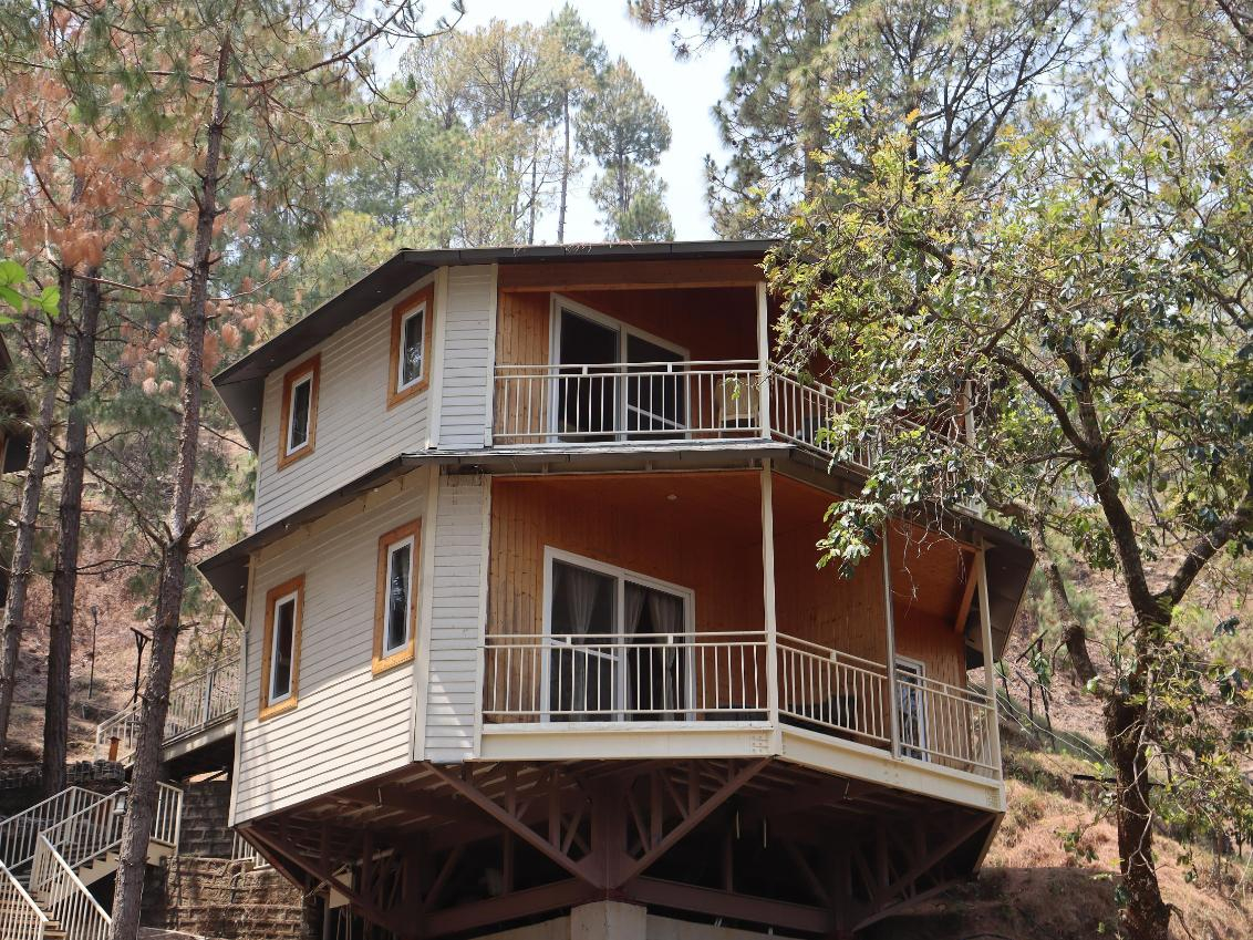 The Woods Retreat x Solis Nature