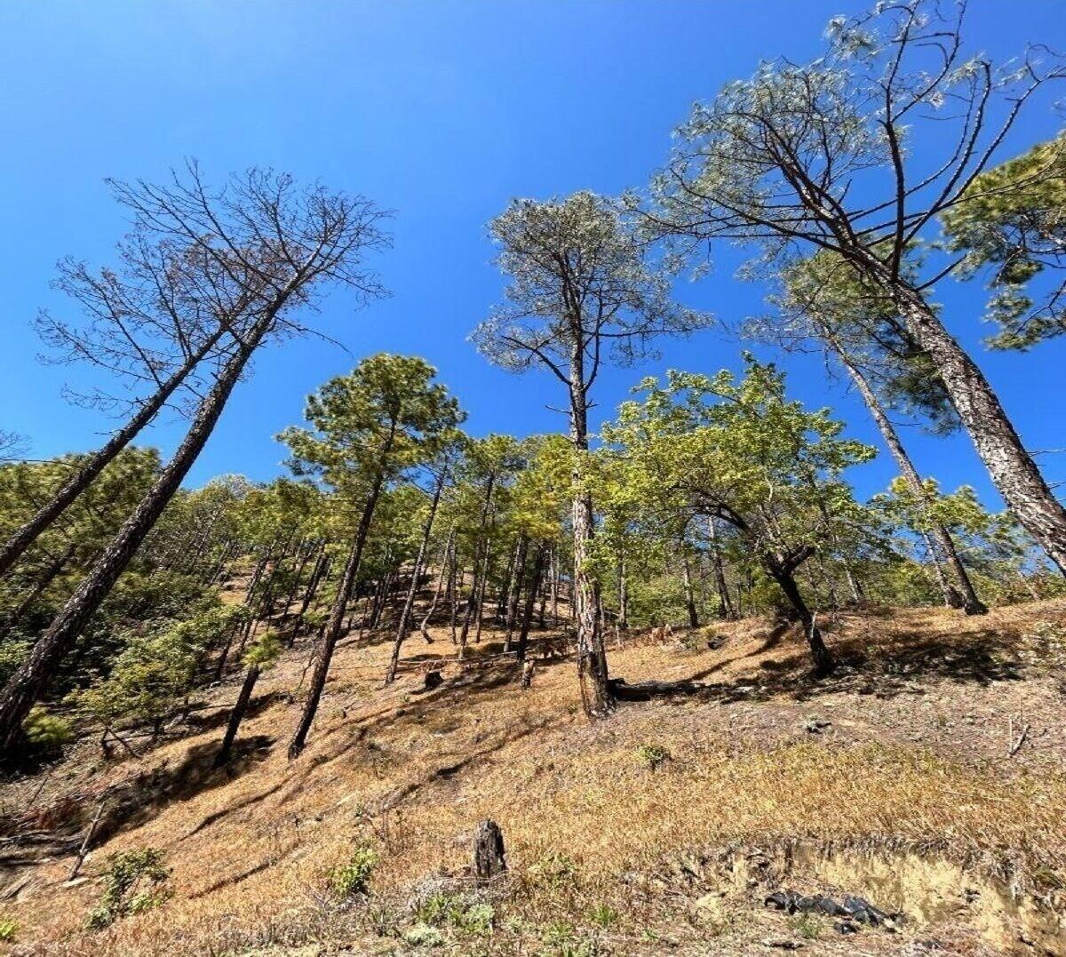 Mudstone Rooms at Satoli x Solis Nature
