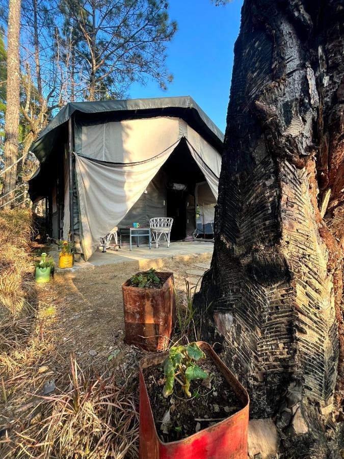 Swiss Safari Tents x Solis Nature