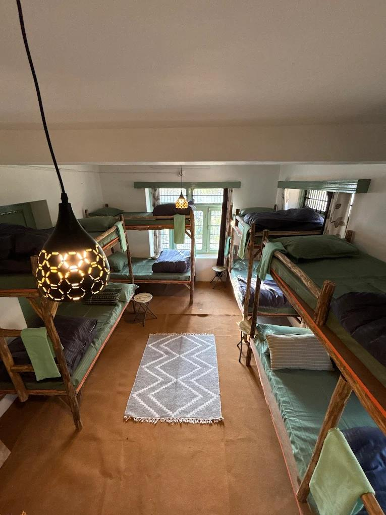 Tiny Yety Homes x Solis Nature