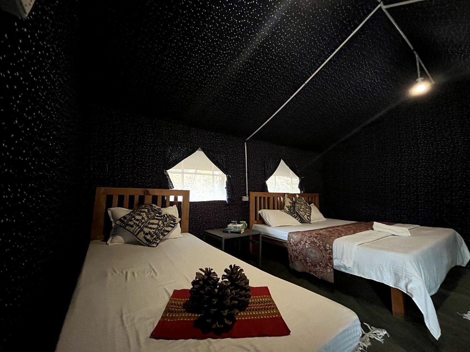 Swiss Safari Tents x Solis Nature