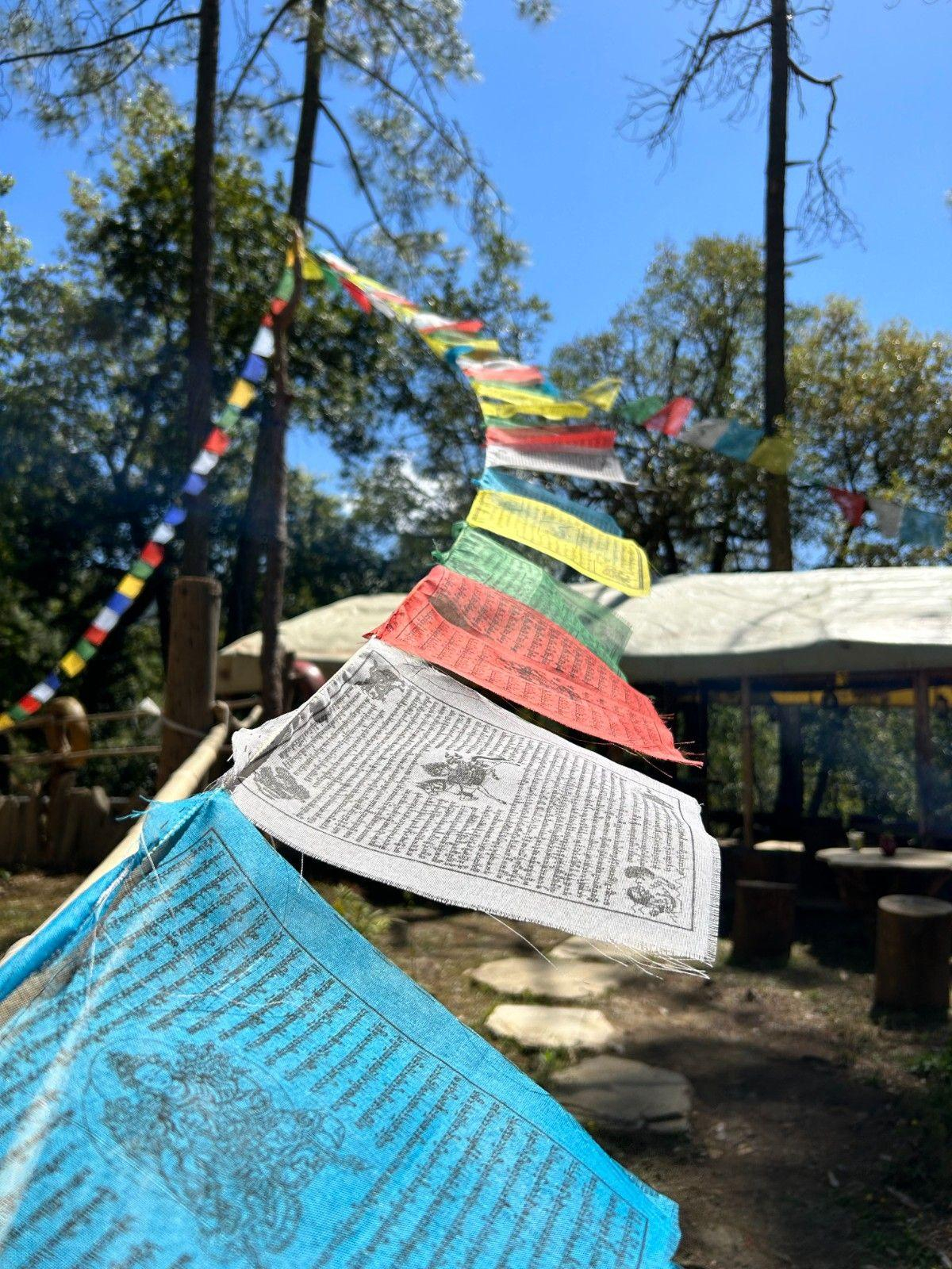 Swiss Safari Tents x Solis Nature