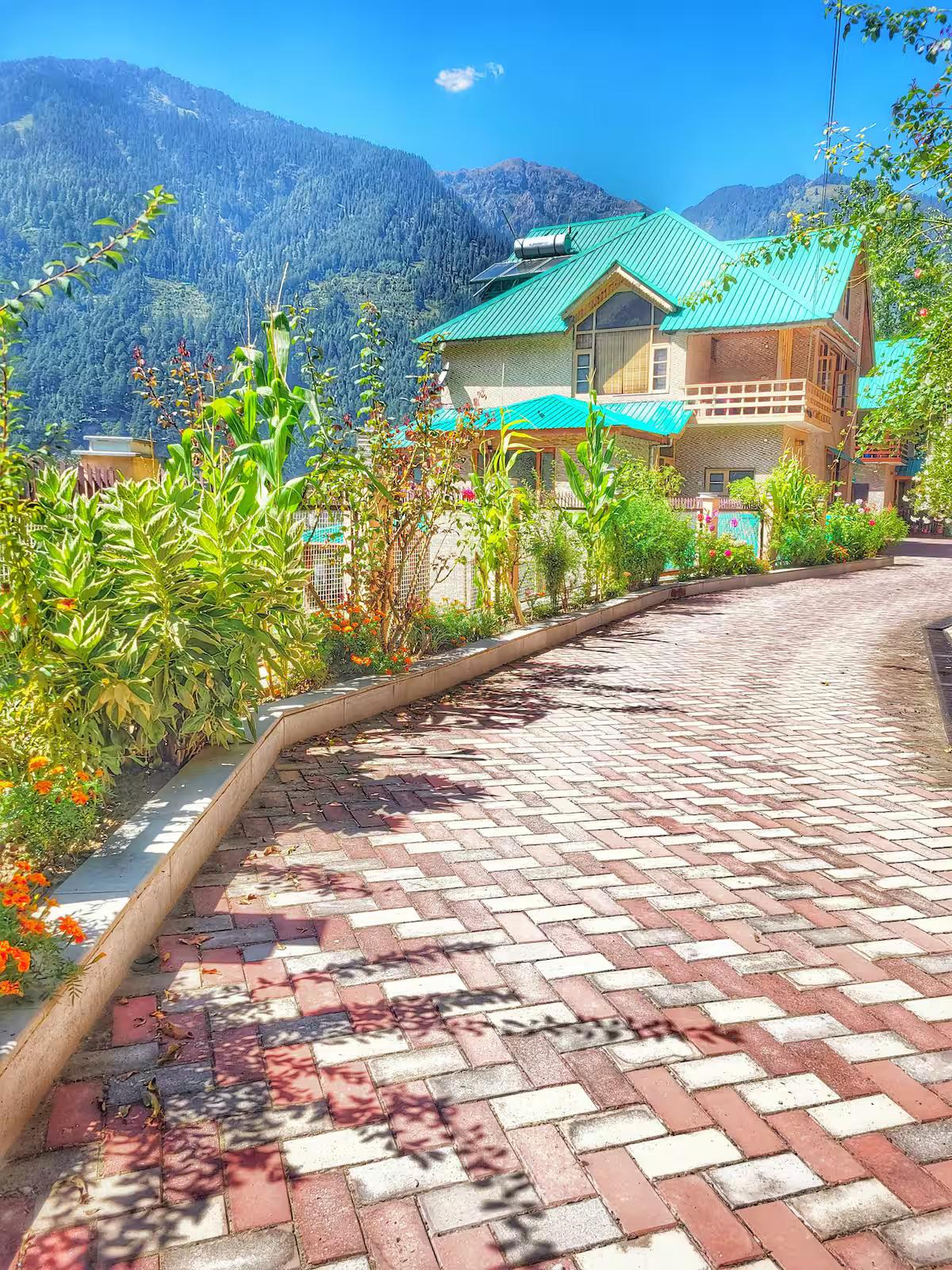 1965's Rustic Chalet Cottage x Solis Nature