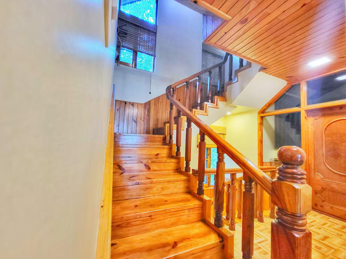 1965's Rustic Chalet Cottage x Solis Nature