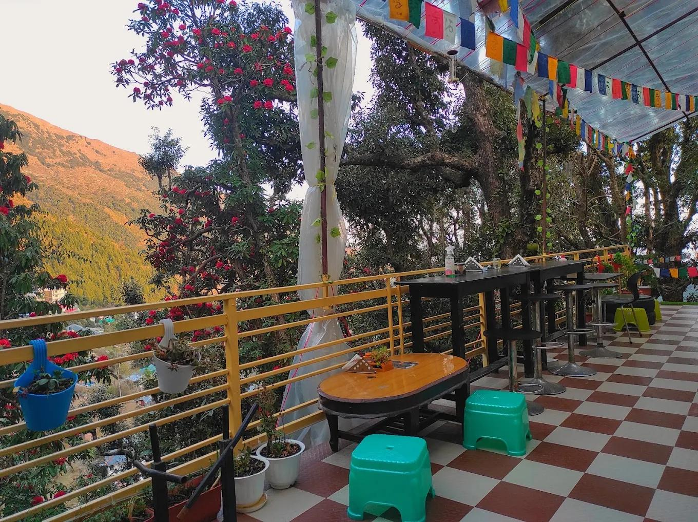The Unmad Dharamkot x Solis Nature