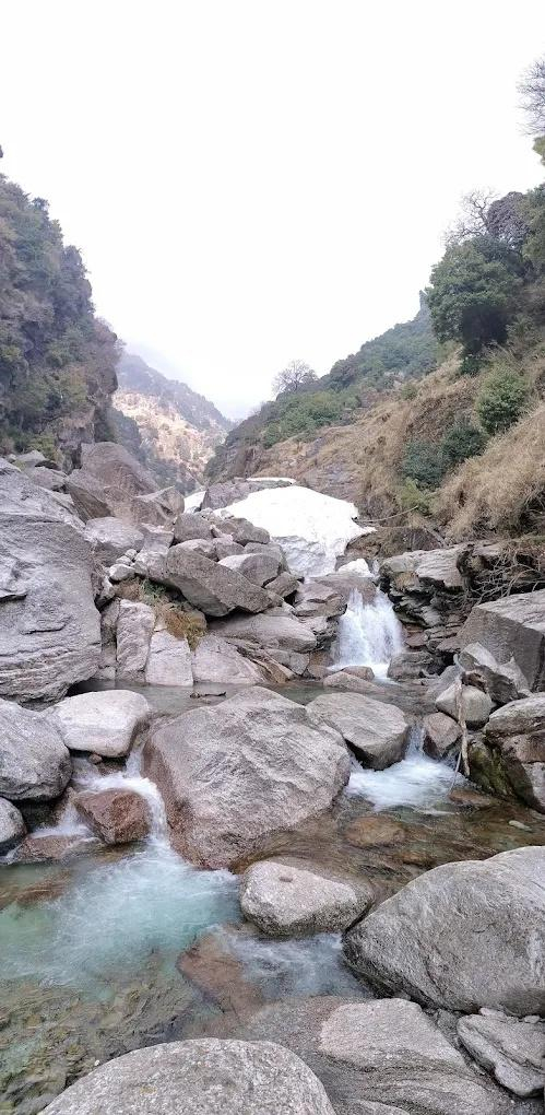 The Unmad Dharamkot x Solis Nature