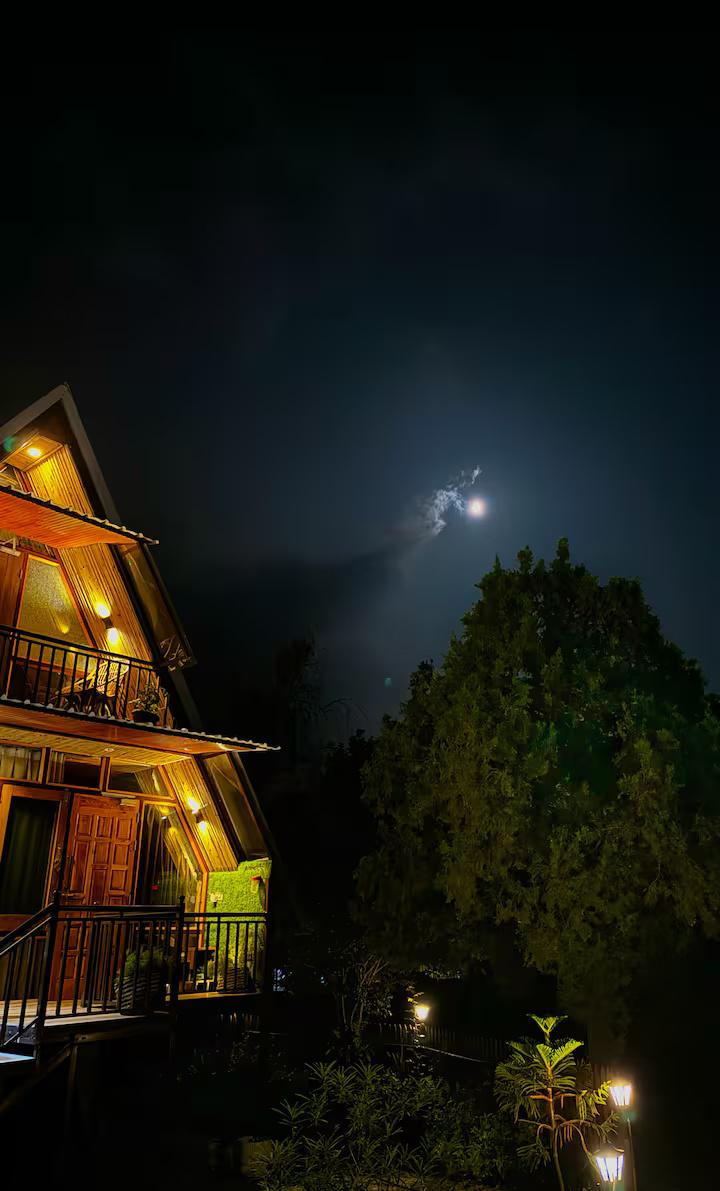 Dreamwoods by Viraasat-E-Bir x Solis Nature