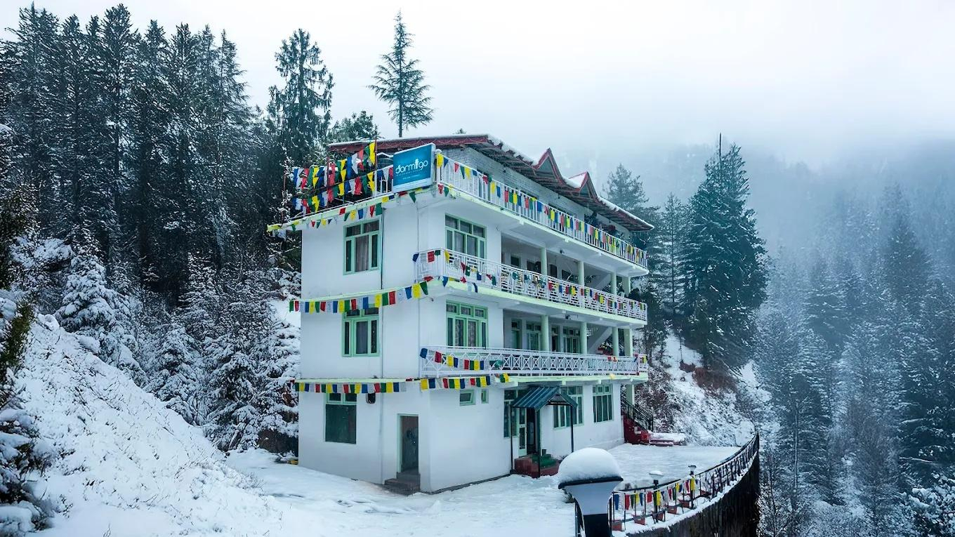 Dormego Manali x Solis Nature