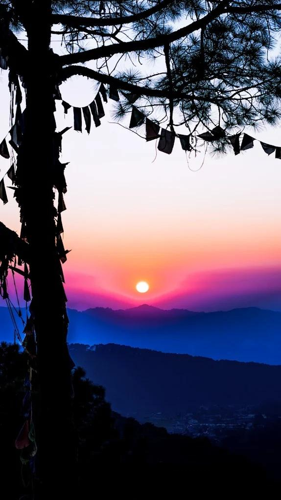 Dormego Manali x Solis Nature