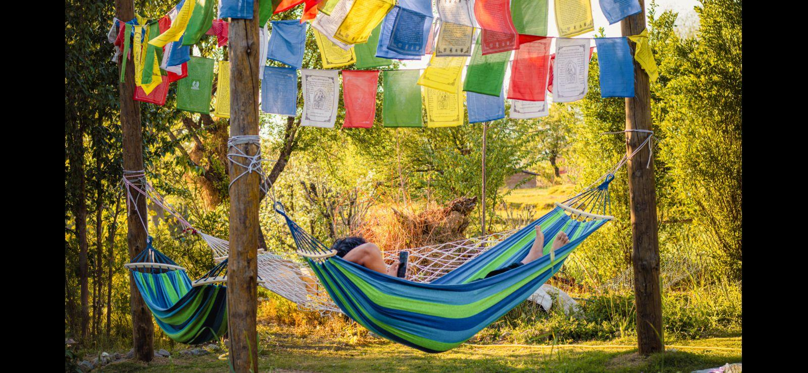 Dormigo Bir x Solis Nature Dormigo Bir x Solis Nature