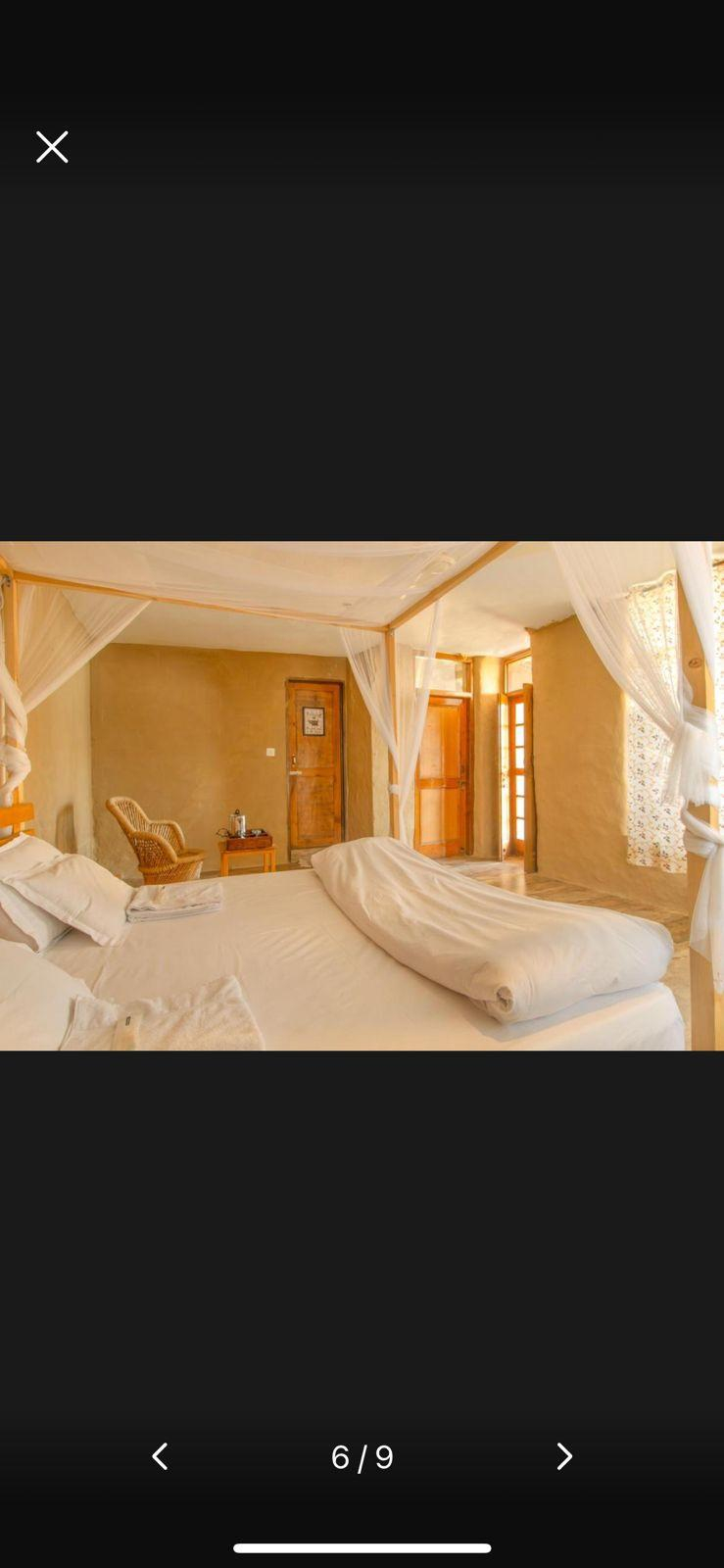 Dormigo Bir x Solis Nature Dormigo Bir x Solis Nature