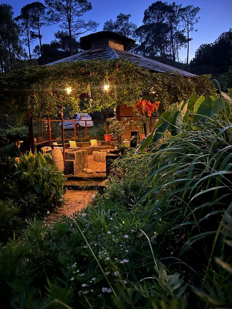 Musafir a Homestay x Solis Nature