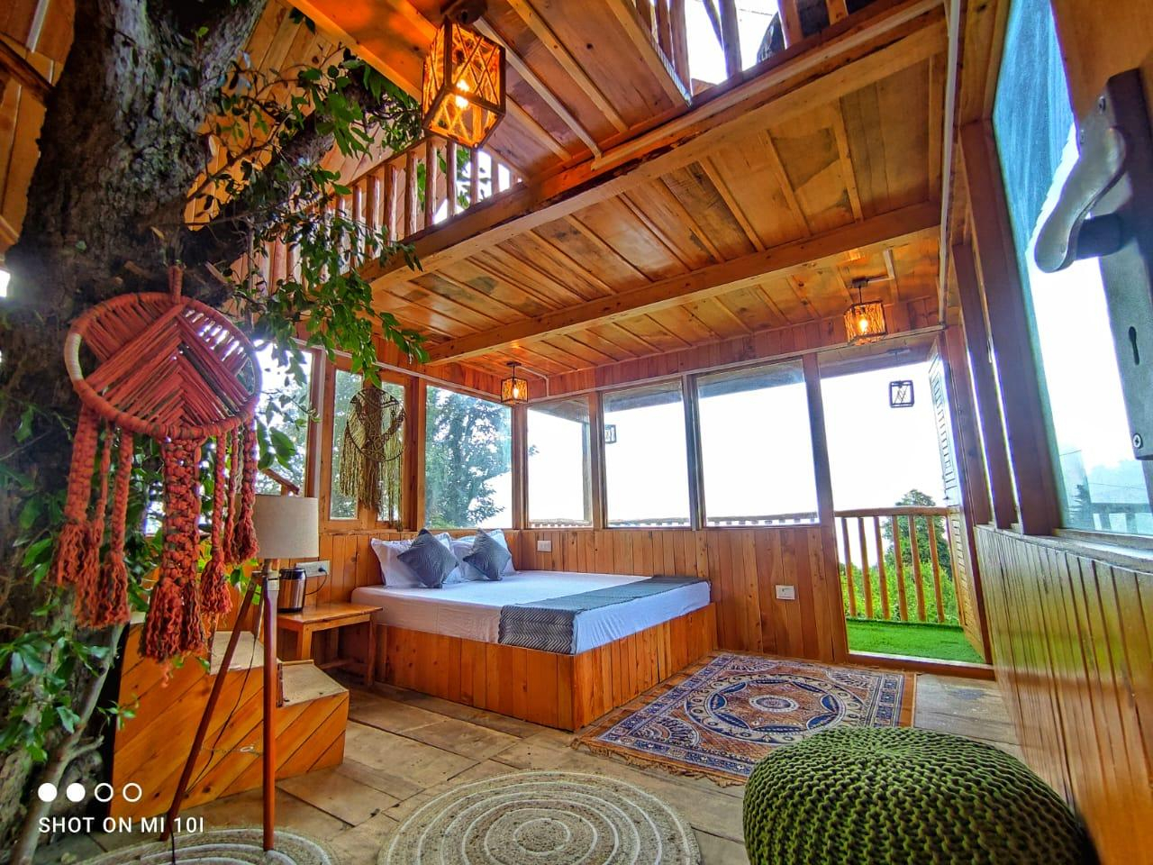 The Tree Top jibhi x Solis Nature
