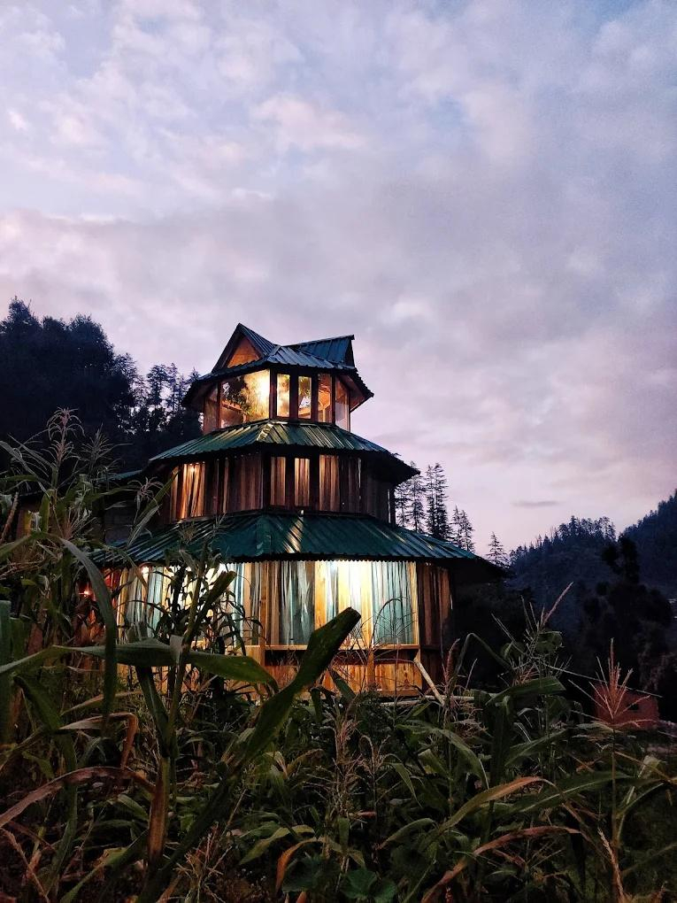 The hidden Burrow x Solis Nature