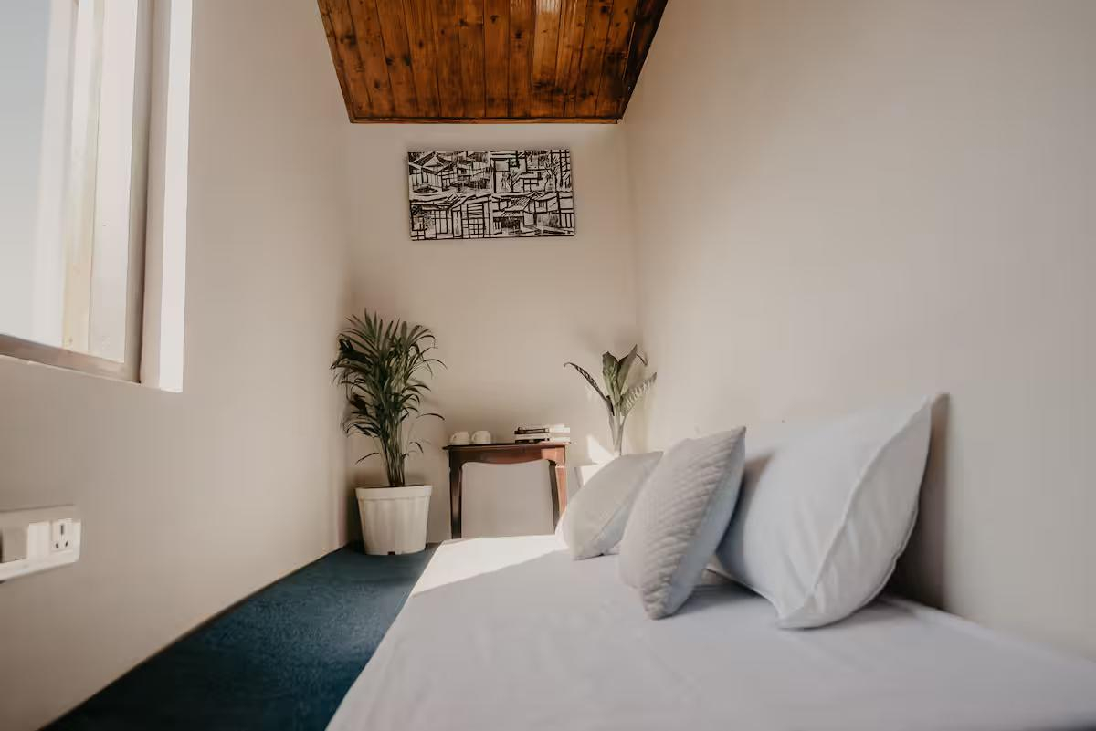 Kaizen Villa x Solis Nature Kaizen Villa x Solis Nature
