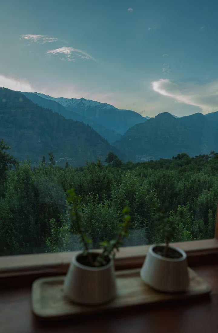Bespoke 2-Room Combo in Luxury Villa x Solis Nature