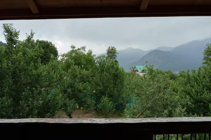Aesthetic Room with Wrap Around Balcony x Solis Nature Aesthetic Room with Wrap Around Balcony x Solis Nature